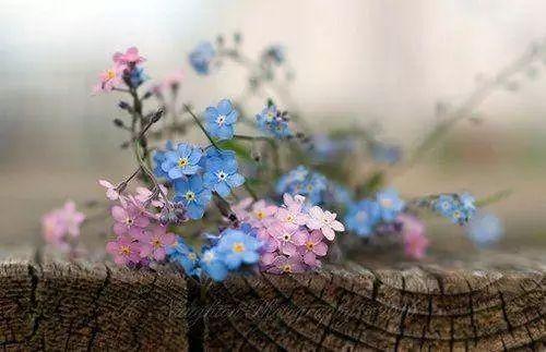 ��������ʶ��ʼ�Ҿ��϶����������һֱ�ڵȵ��Ǹ���