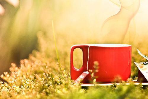 超市买东西碰到一个老人偷面包,女友要给他买,被我阻止了,谁错了