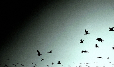 ��˵����תս���ϣ������°��꿪ʼ��ͺϻ���һ��ʼ��ҵ