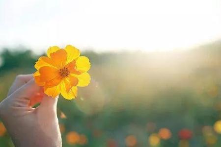 今天去考了科二