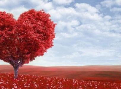 �����ռ���������Ĳ����ֻ������������