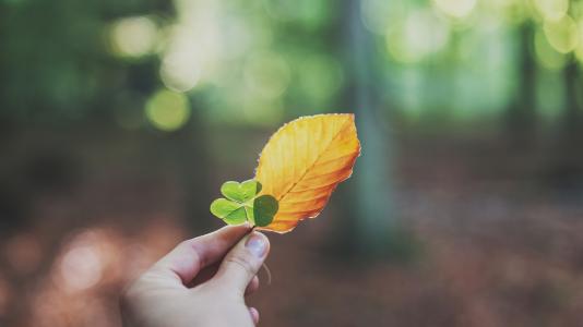 �����ﷺ��ľ�ϲ���ڴ������������Ǹ�����