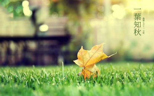 �����������˵������һ�����ͱ��������ʵ���ֳ�