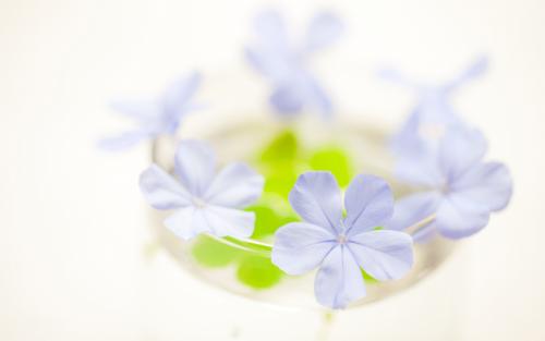 大年初一,妈妈做了一个决定,彻底和你爸爸分开