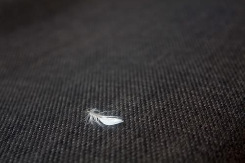 ˵һ���Ǹ���������к�������