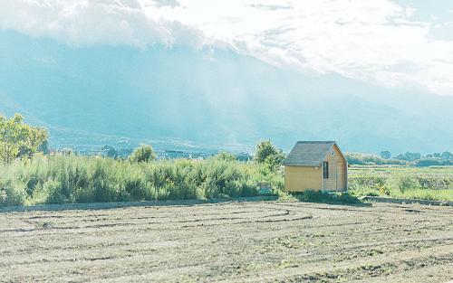 好紧张啊 明天就要帮竹子拍片子了