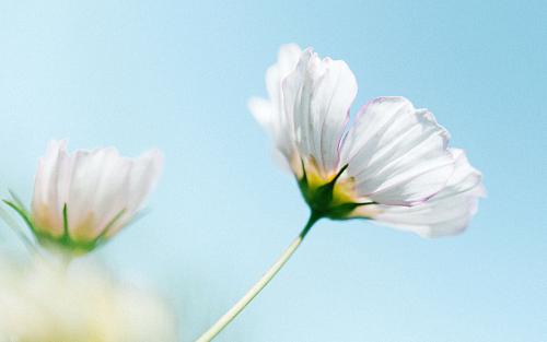 ��һ���յ����ս� ��ϧû�и��Ϻ�ʱ��