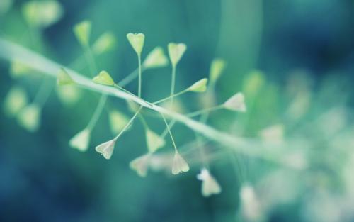 ��ҹ��˯�������й�