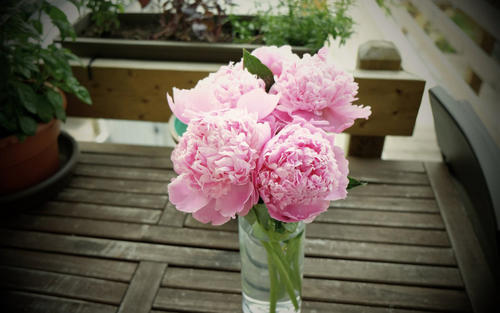 昨天早上那个噩梦还是历历在目。