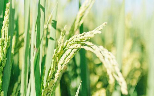 ��������ĺܸм���Ը�����ҵ�С̫��