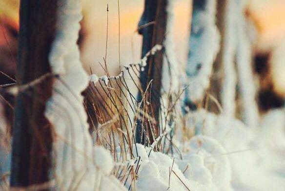 �������������˵����������������