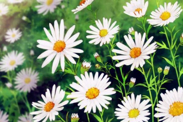 �����ռ�