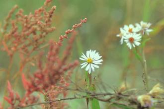 ������ô�������������������������Ǹ����Ѿ���Ϊ�˹�ȥʽ