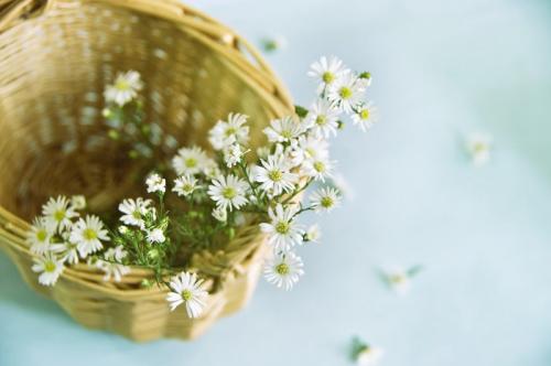 x�������ڸ��ұ�����