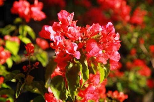 Ϊ��Ҫд��ô�౨��