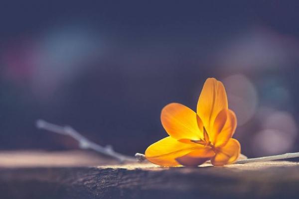 ����û�����������ˣ����ǻ�ü���