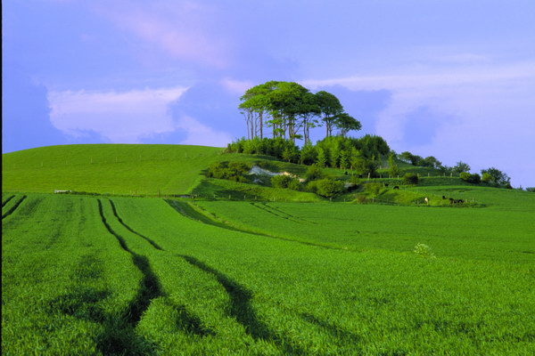 ����û�����������ˣ����ǻ�ü���