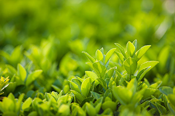 �ڹ�����ʵϰ������Ա���������ô��