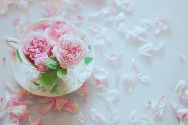 �Ҿ����С��