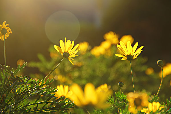 �ܹ¶���ô��