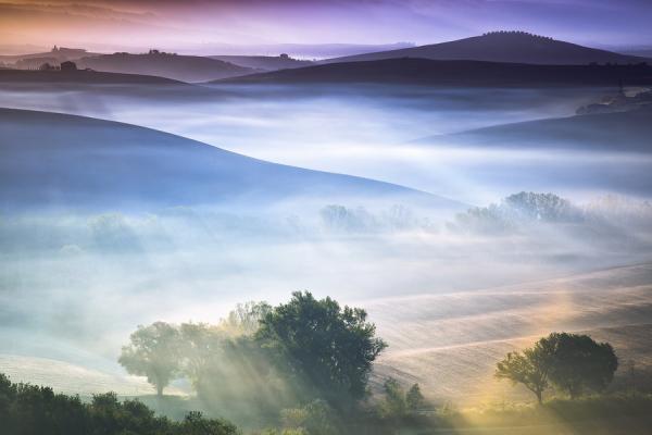 ��ͥ����