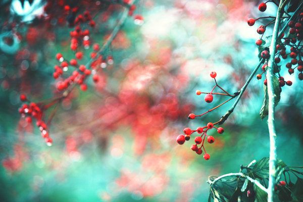 ����֢�ַ���