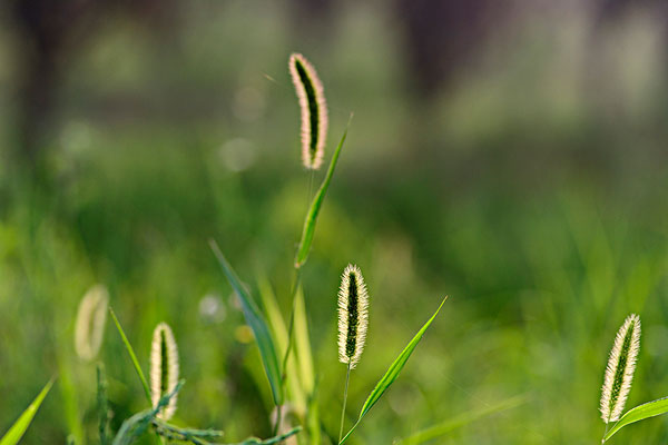 ��ĳ�����Ѻ�����