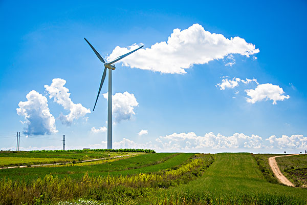 ���ڵ���