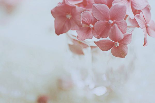 ��һ��Ȼ�󱻸�Ⱦ��hpv