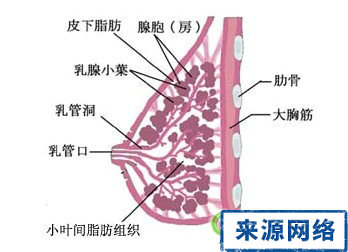 Ů����������Ҫ����Щ���