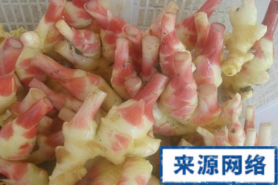 ��ҽ֧�� ��������ֹ�ѷ�