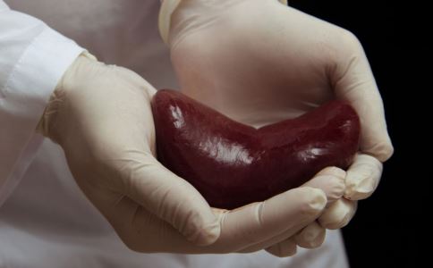 �������׿����κ���