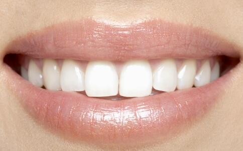 ���������彡���������