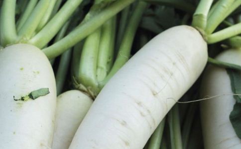 ��ʲô����Ѫ �ļ������ź������Ѫ