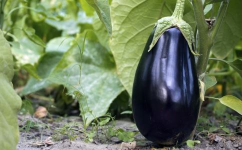 ͨ��Ѫ��ʳ������Щ ��Щ����ȱ��