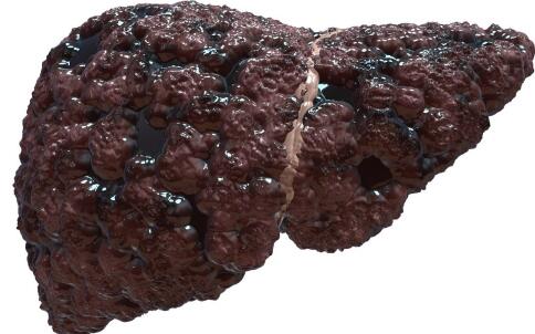 Ϊʲô�����Ҹ�����ȴû�п���