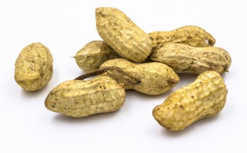 ��������6���˵ġ���������