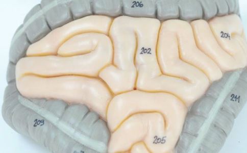 �����̴���13��������֪