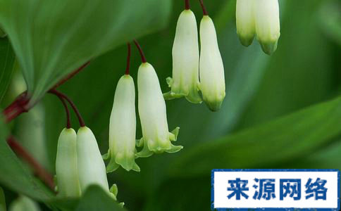 ������ˮ�ȵĹ�Ч