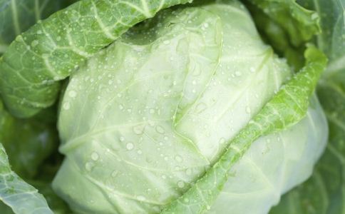 �ճ��߲�Ӫ�����а�