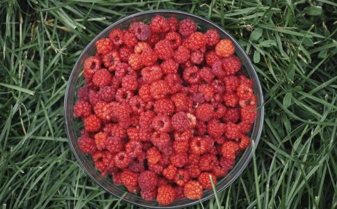 80������е�Ұ�� ��ǵ���