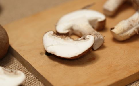 ����㹽 ��������������