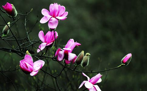 ���Ļ���ˮ�ȵĹ�Ч