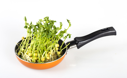 �����߲�Ӫ�������ж���