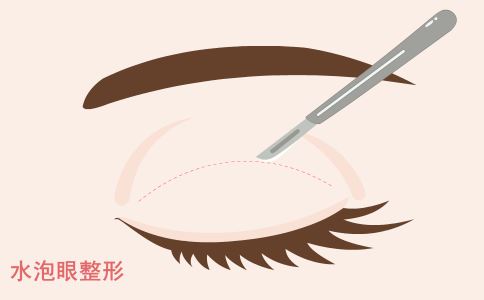 С����֬�� ���춯�˵�����