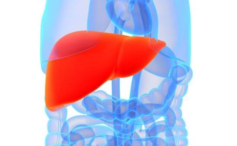 ��ҽ��λ��� 6����������Ч����