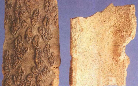 ����Ƥ��ˮ�ȵĹ�Ч