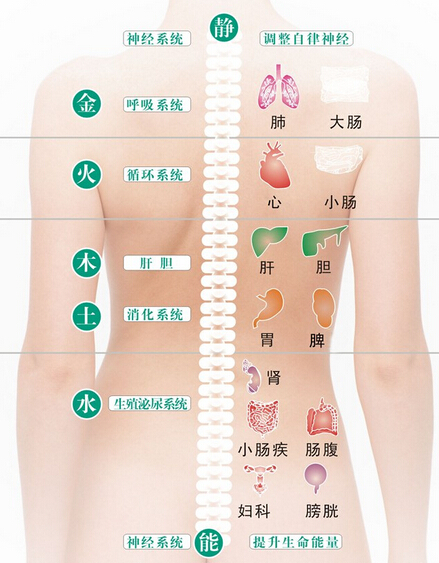 ���ϳ�����ʲôԭ�� ����������Ӧ��������