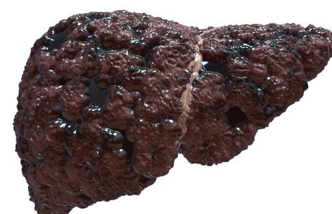 �Ҹβ������������Щ����