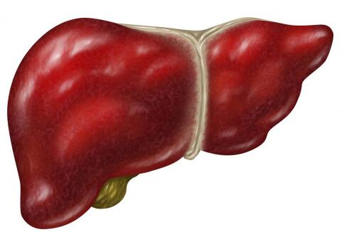 ��������Ҹ� �����������